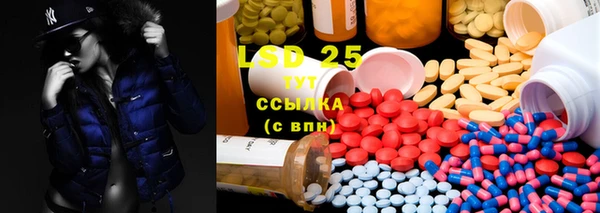 ГАЛЛЮЦИНОГЕННЫЕ ГРИБЫ Беломорск