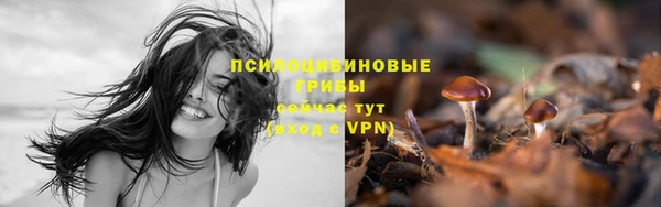 кристаллы Белоозёрский