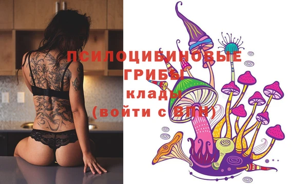 ГАЛЛЮЦИНОГЕННЫЕ ГРИБЫ Беломорск